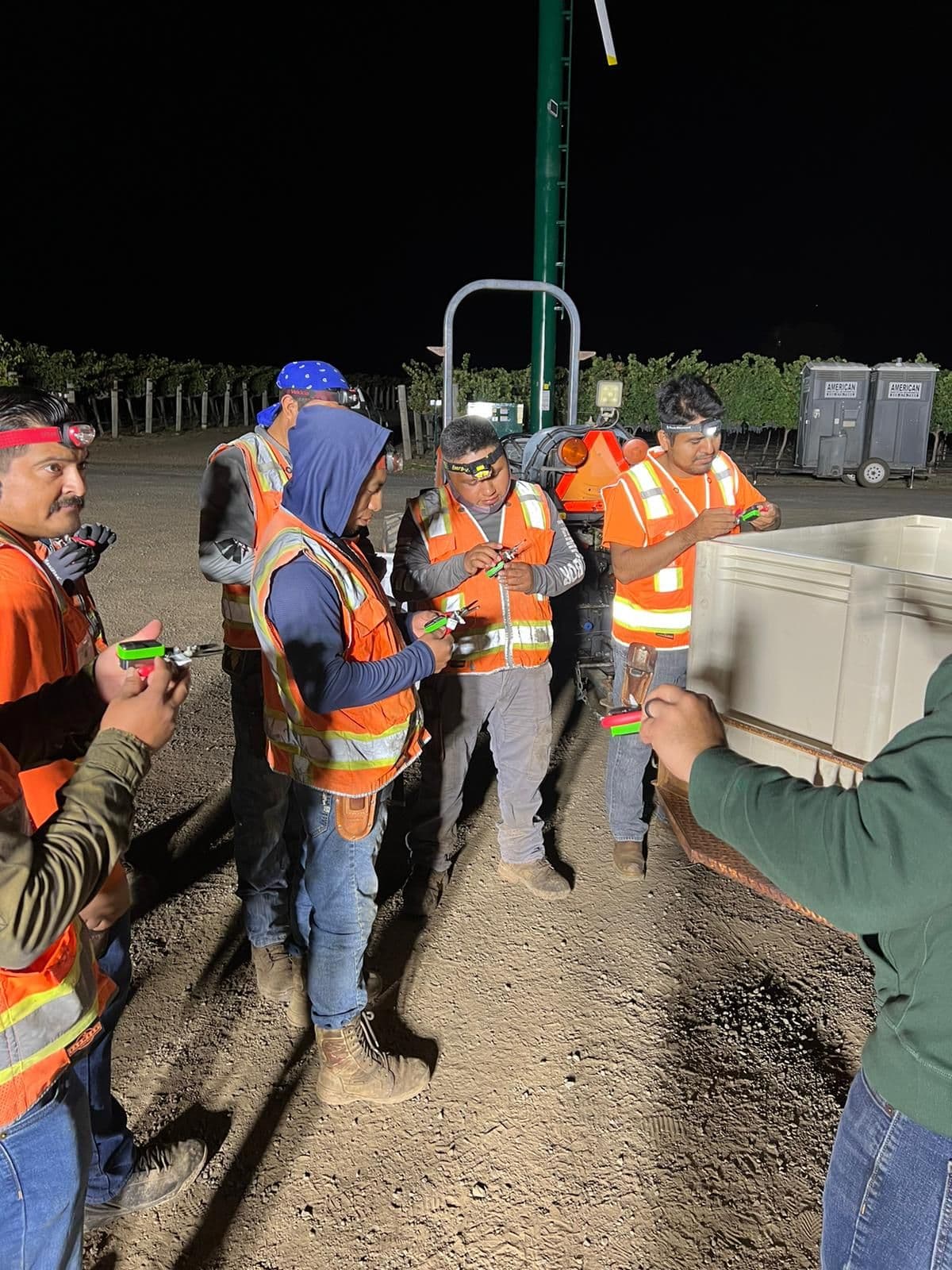 Avocado harvesters with Pickloggers in the USA.