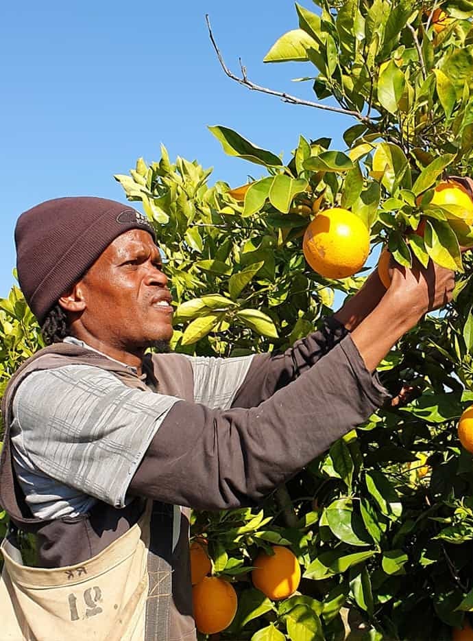 A harvester with a Picklogger.